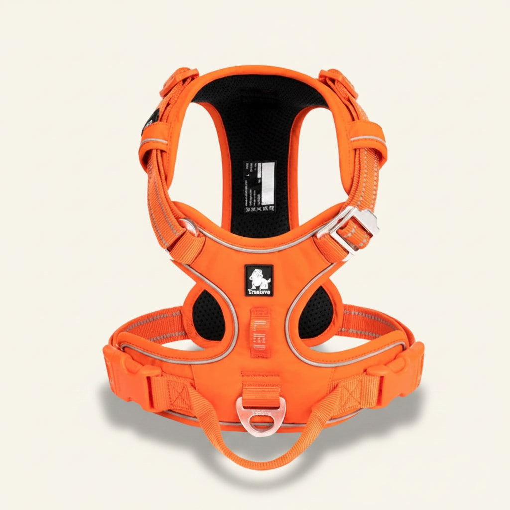 Harnais pour chien anti-traction réfléchissant orange Dog Rider