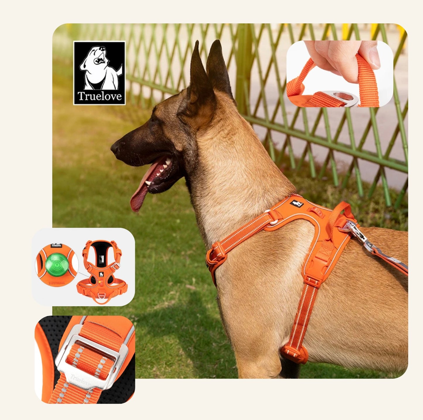 Chien portant le harnais ergonomique Dog Rider en extérieur