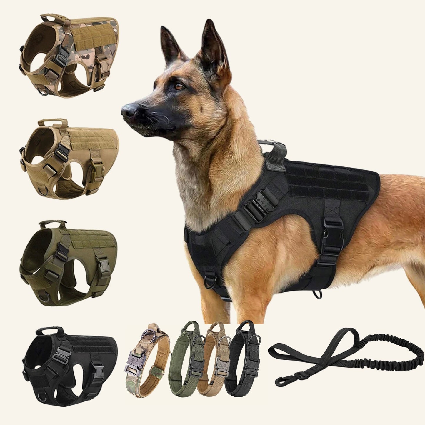 Harnais tactique haute résistance pour chien Dog Rider.