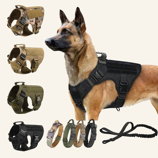 Harnais tactique haute résistance pour chien Dog Rider.
