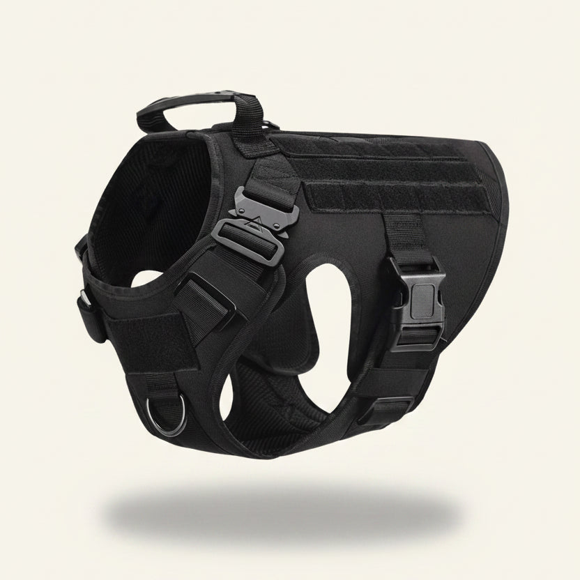 Harnais tactique pour chien, coloris noir Dog Rider.