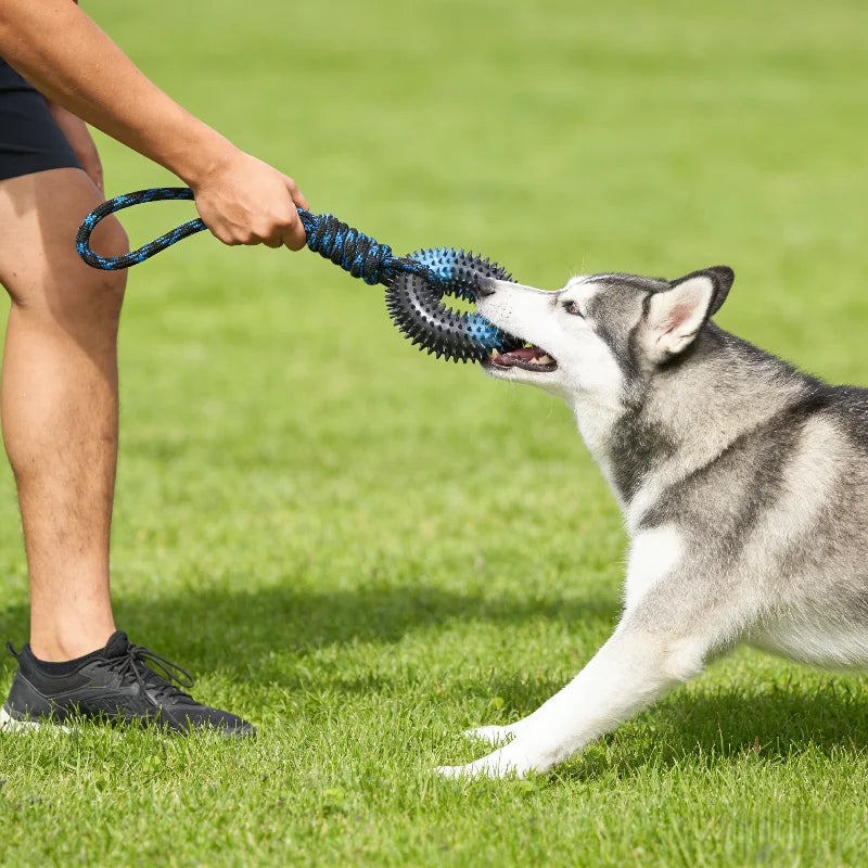 Maître jouant au tir de traction (tug-of-war) avec son chien en extérieur grâce à l'anneau à picots et corde Dog Rider