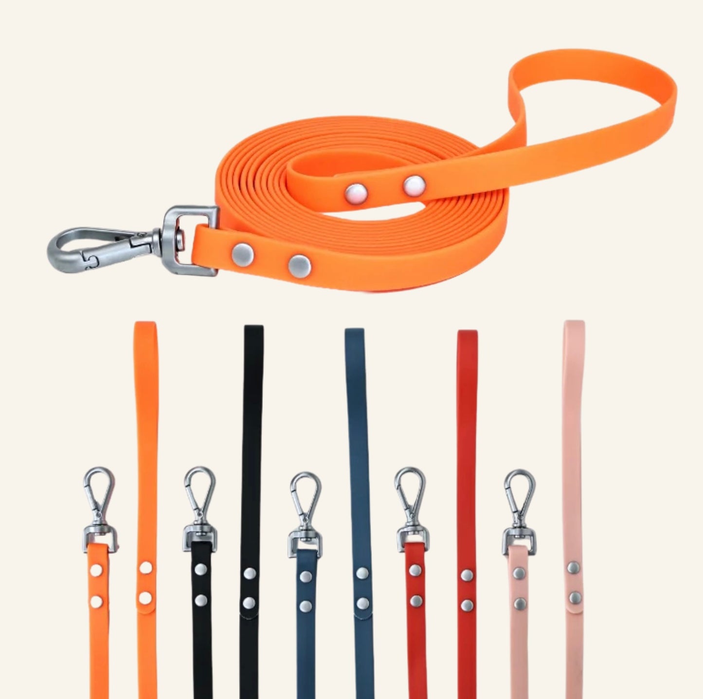 Laisse pour chien cloutée Dog Rider disponible en plusieurs coloris
