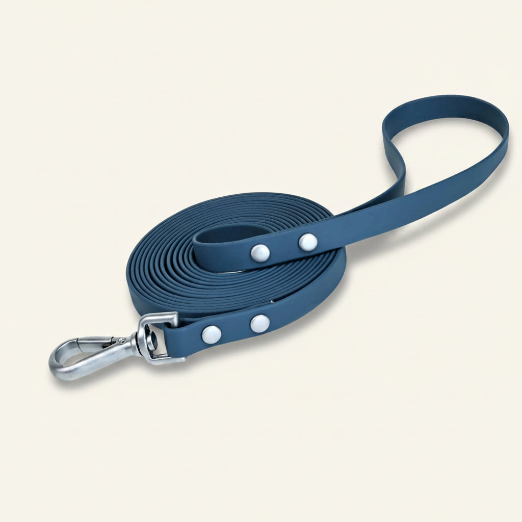 Laisse pour chien cloutée Dog Rider, coloris bleu marine