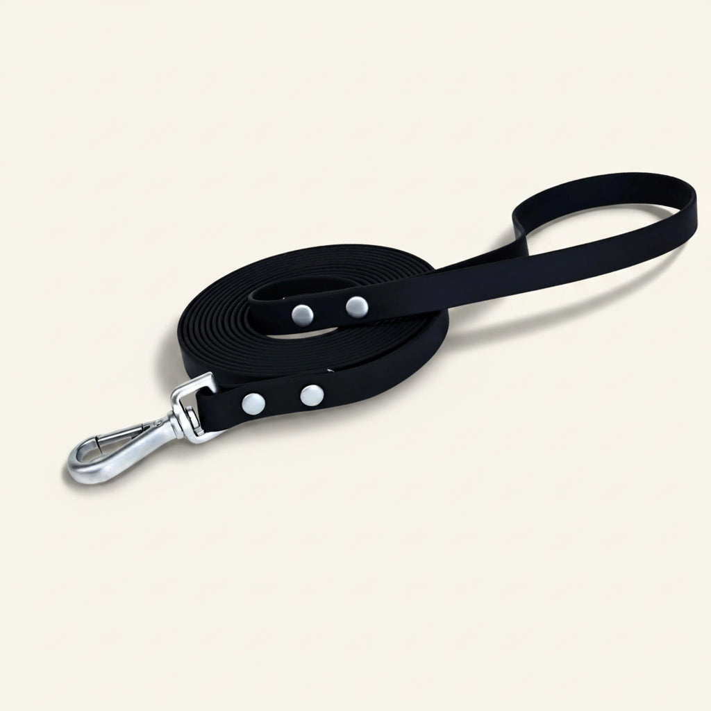 Laisse pour chien cloutée Dog Rider, coloris noir