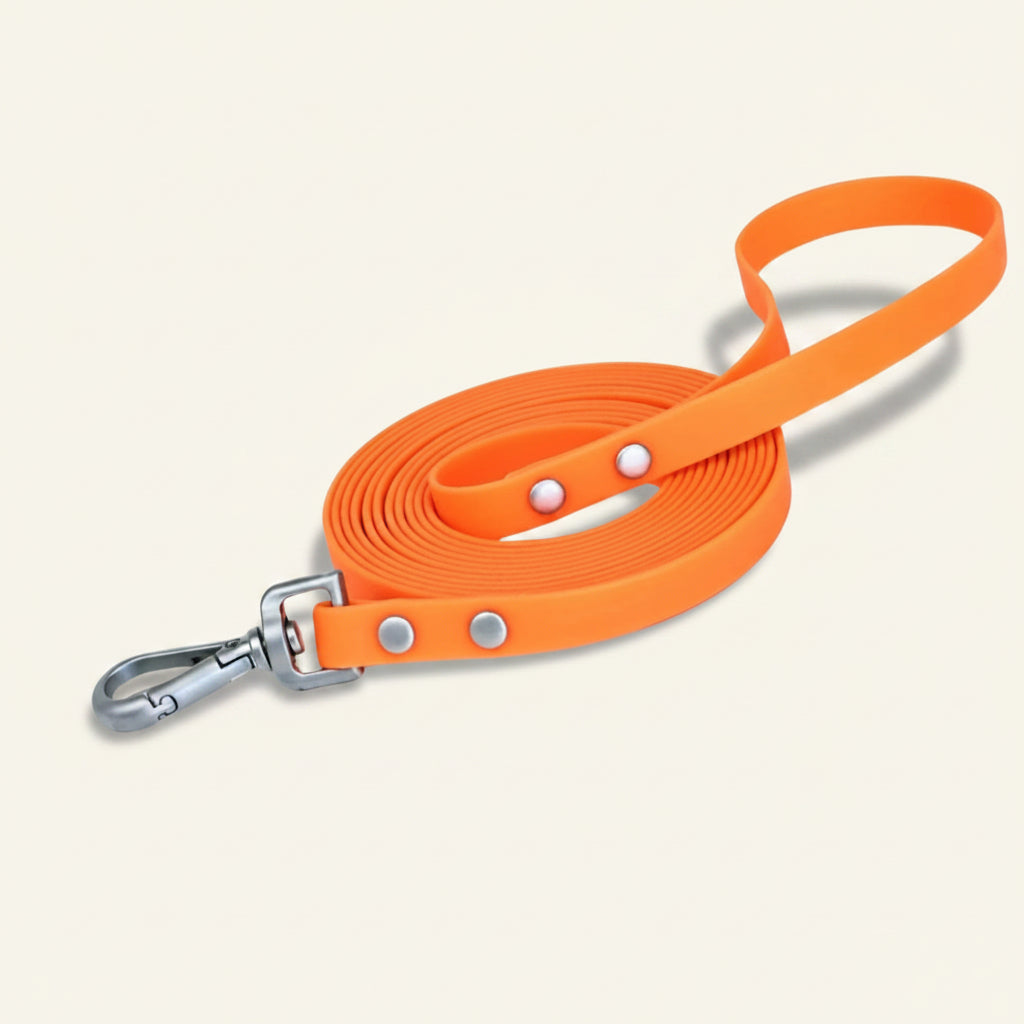 Laisse pour chien cloutée Dog Rider, coloris orange