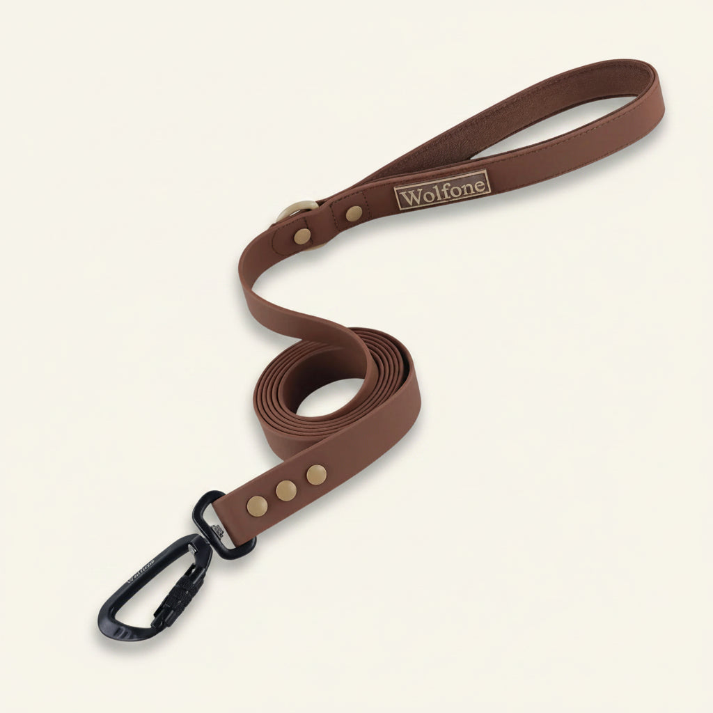 Laisse pour chien à poignée rembourrée Dog Rider, coloris marron, avec mousqueton