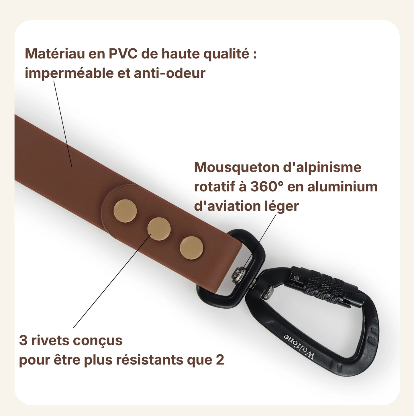 Détail du matériau PVC imperméable et du mousqueton pivotant de la laisse pour chien Dog Rider