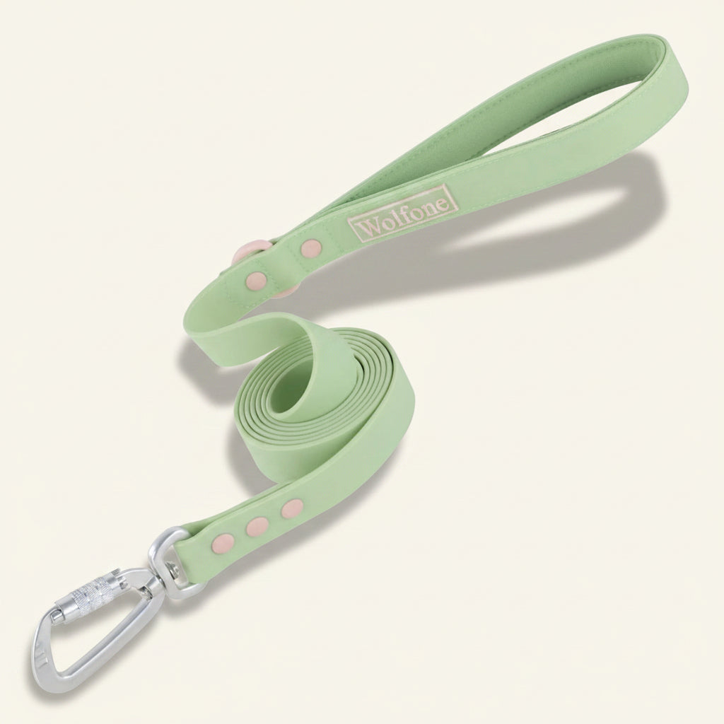 Laisse pour chien à poignée rembourrée Dog Rider, coloris vert pastel