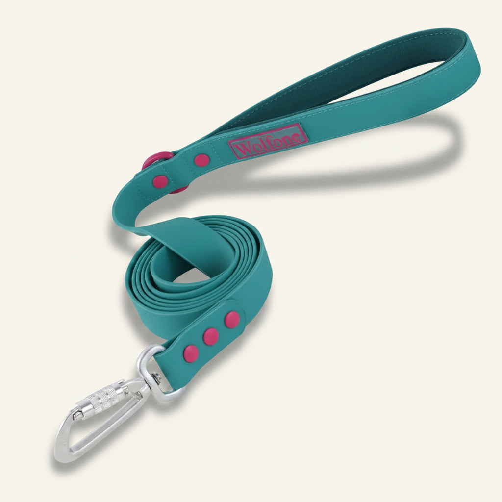 Laisse pour chien à poignée rembourrée Dog Rider, coloris vert