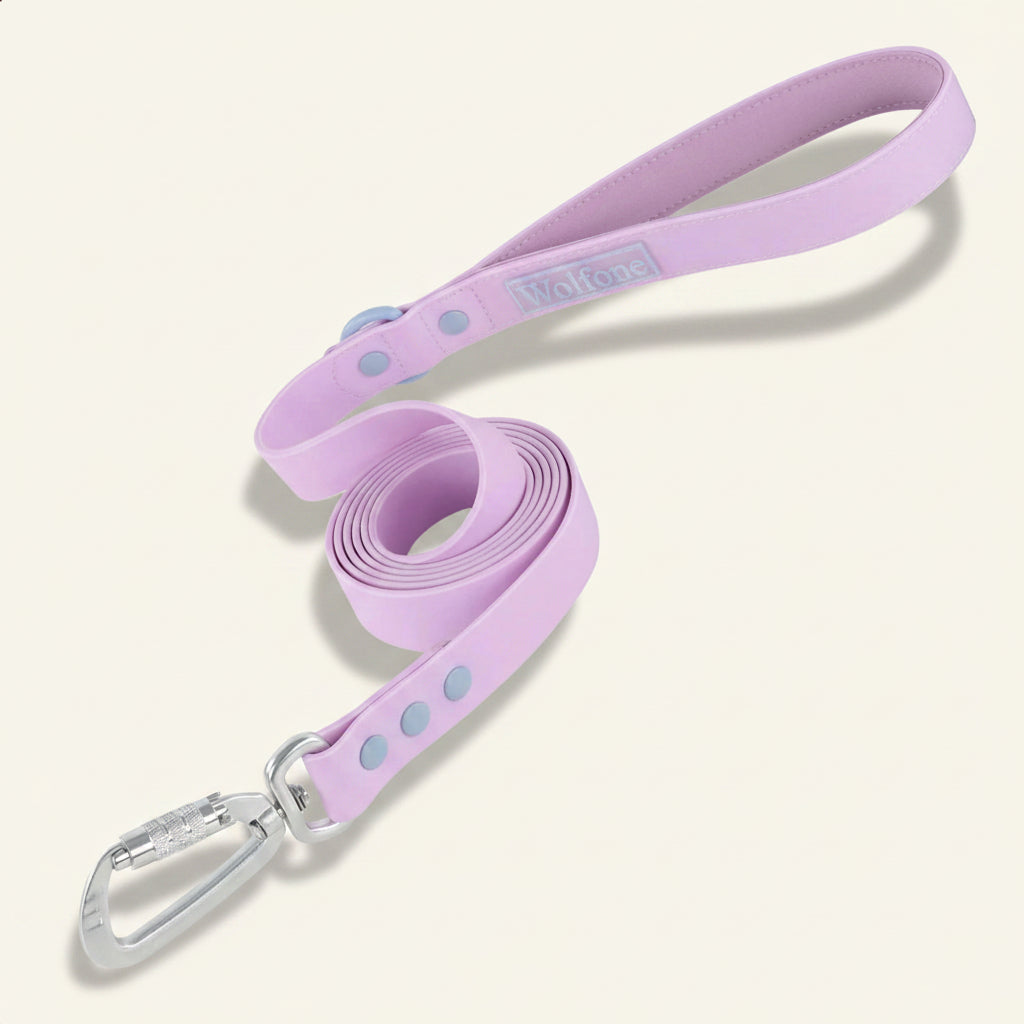 Laisse pour chien à poignée rembourrée Dog Rider, coloris violet