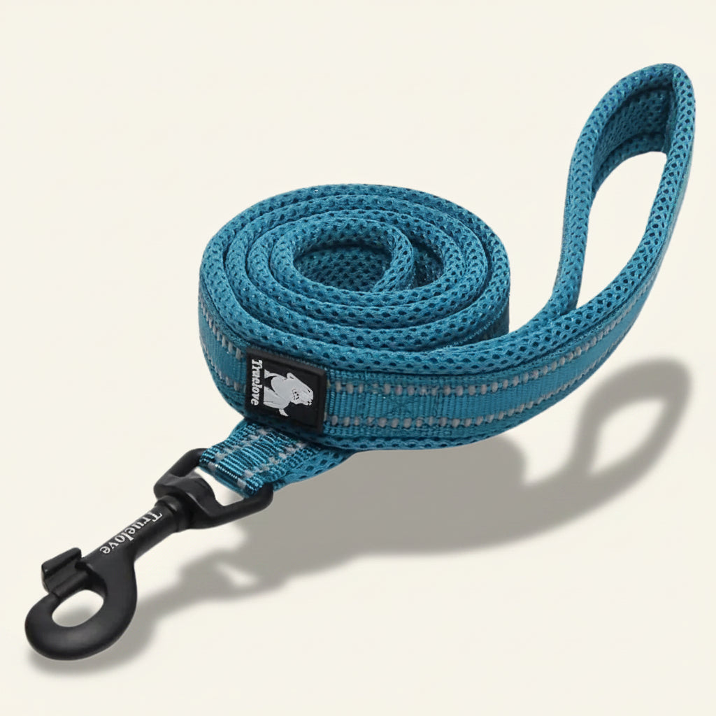 Laisse pour chien réfléchissante couleur bleu canard⁠
