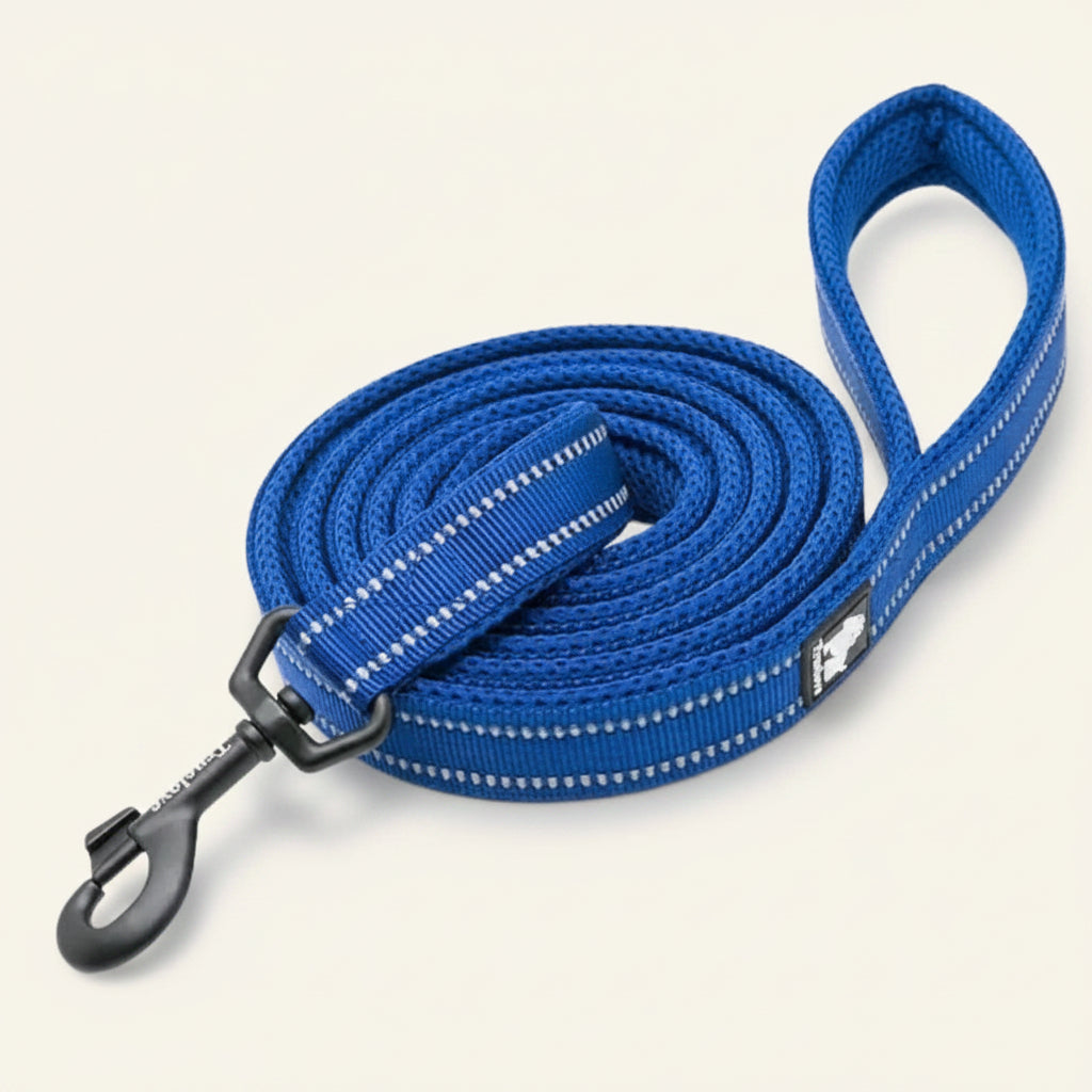 Laisse pour chien réfléchissante couleur bleue⁠