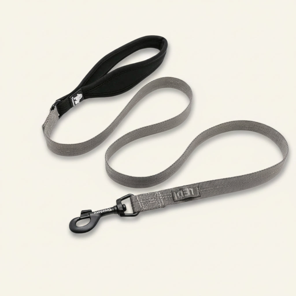 Laisse pour chien réfléchissante Dog Rider, coloris gris