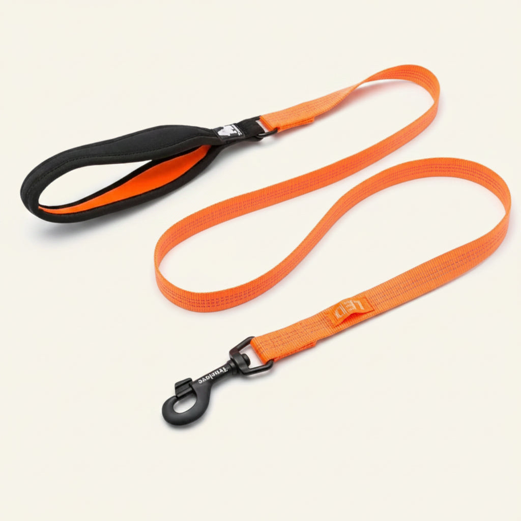 Laisse pour chien réfléchissante Dog Rider, coloris orange, avec poignée rembourrée