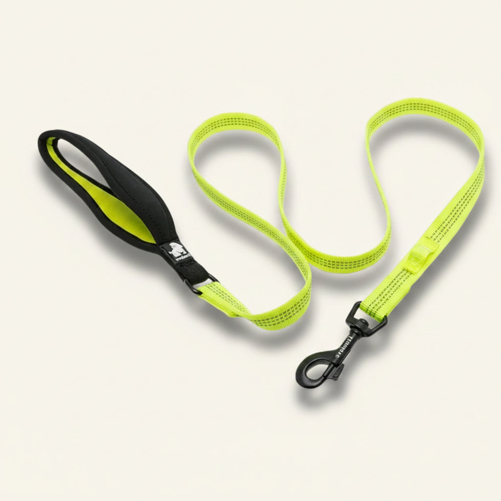 Laisse pour chien réfléchissante Dog Rider, coloris vert fluo