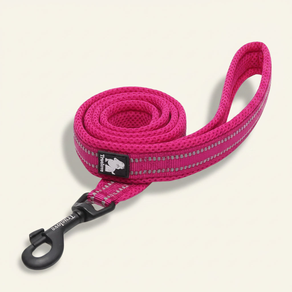 Laisse pour chien réfléchissante couleur fuchsia⁠