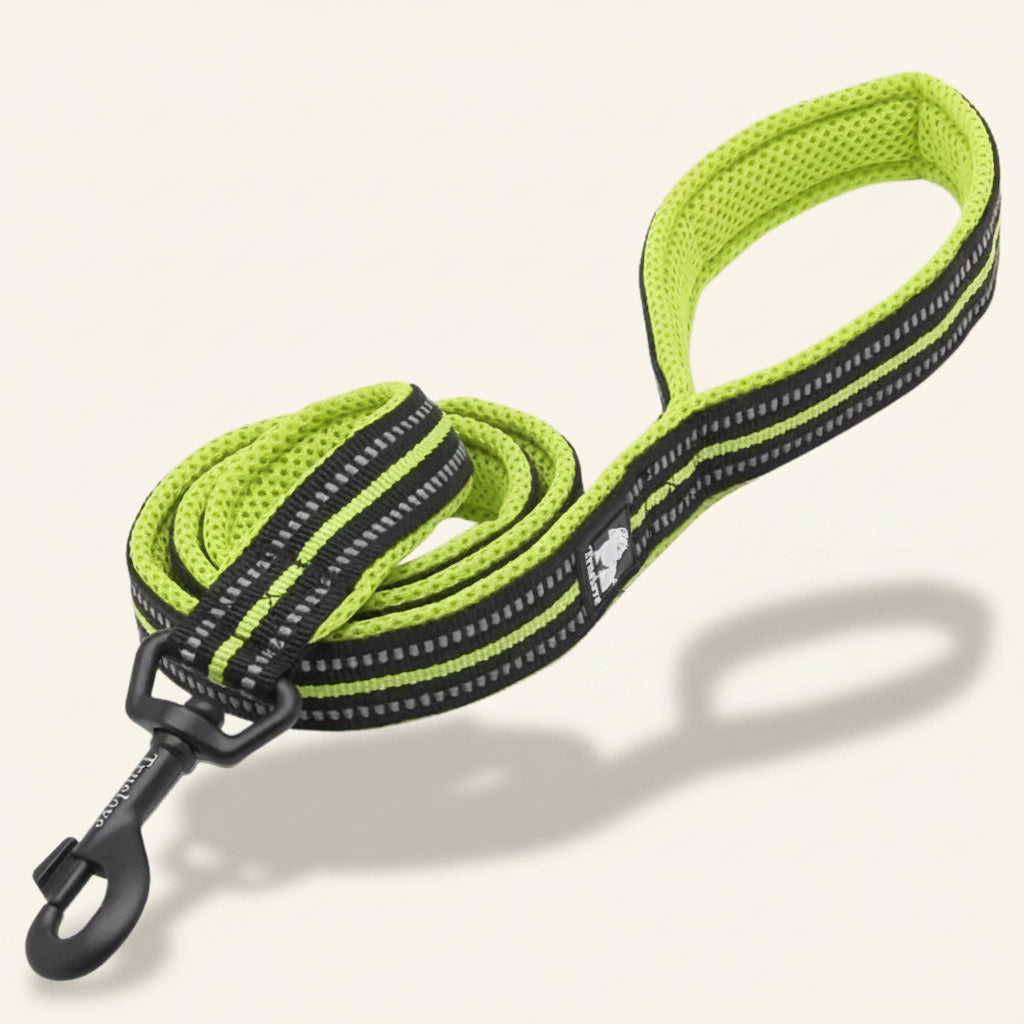 Laisse pour chien réfléchissante couleur jaune fluo
