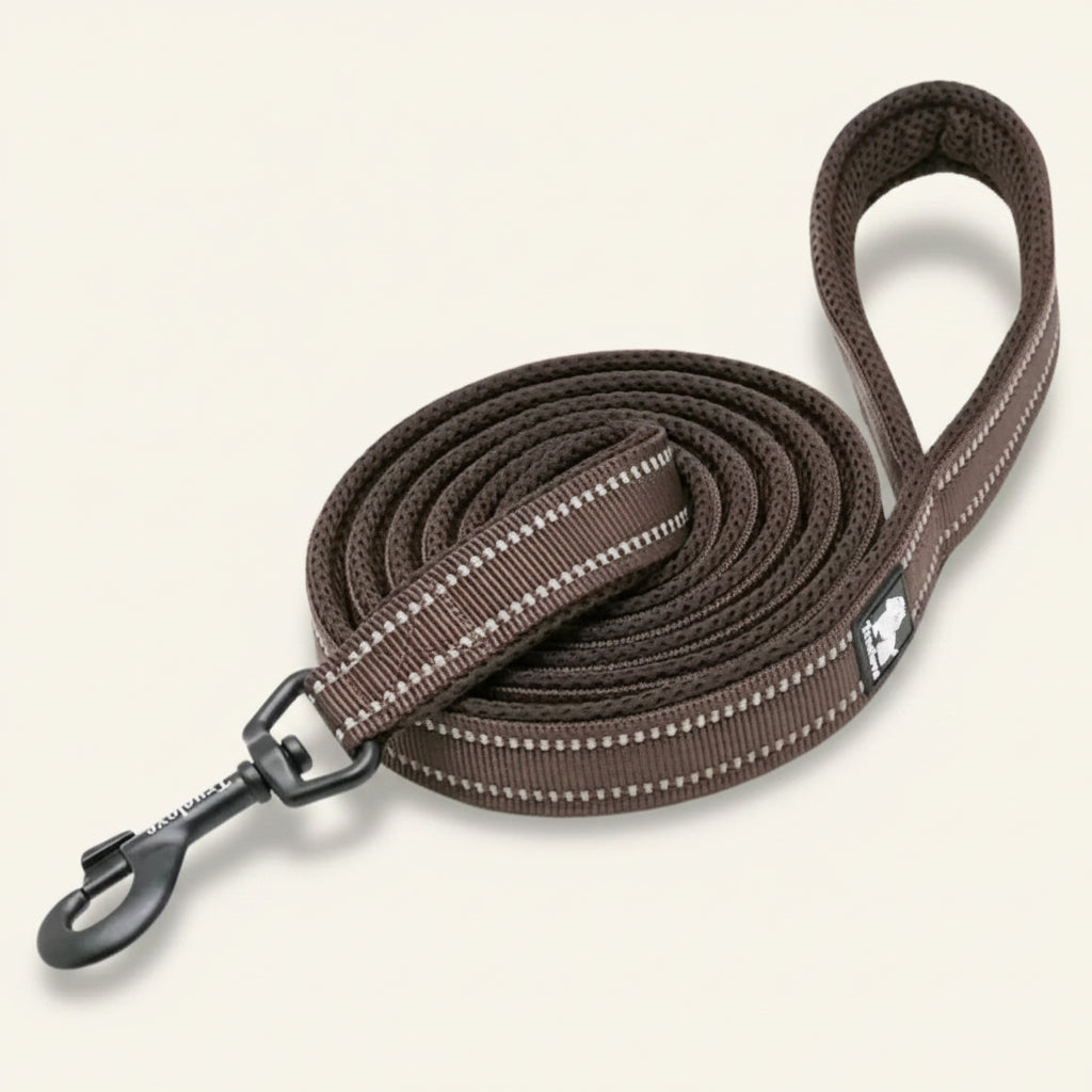 Laisse pour chien réfléchissante couleur marron⁠