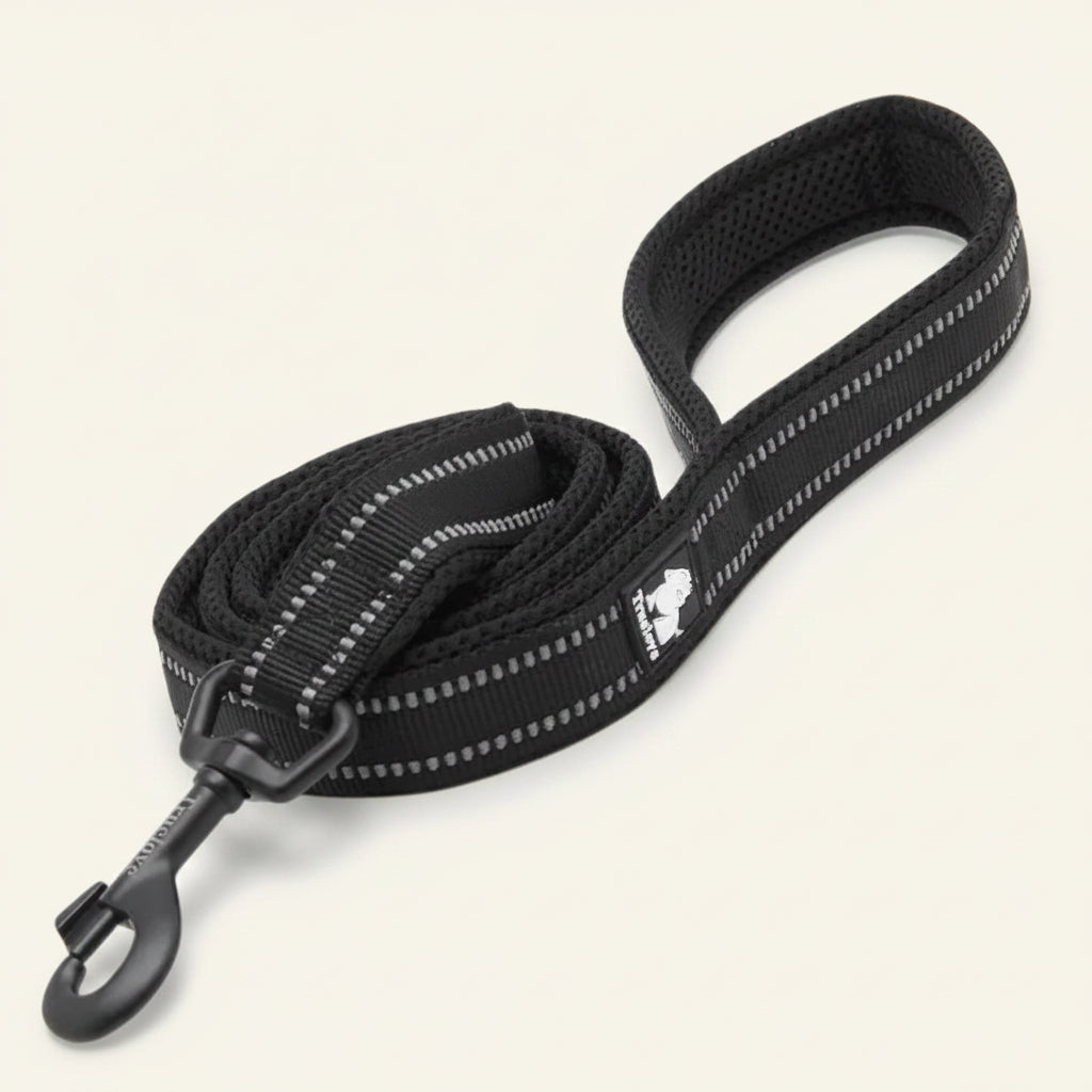 Laisse pour chien réfléchissante couleur noire