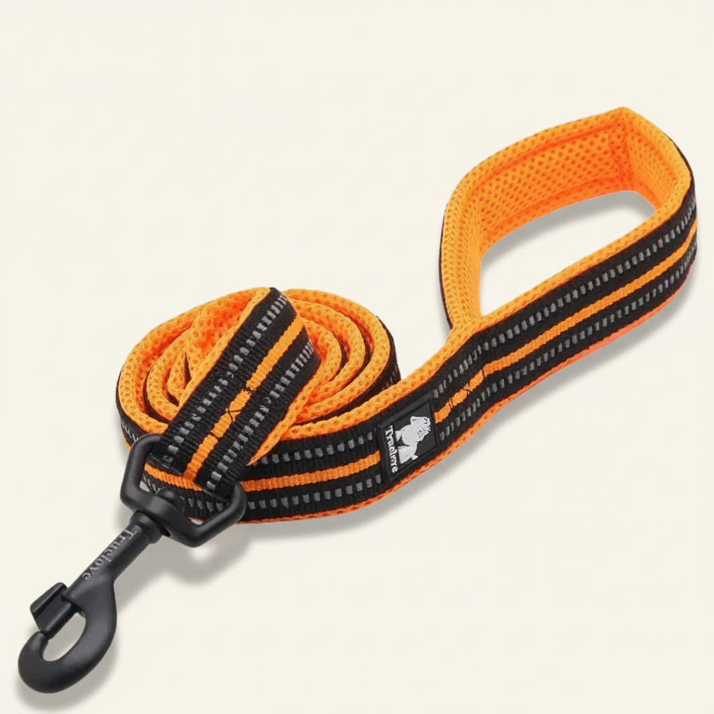 Laisse pour chien réfléchissante et rembourrée orange Dog Rider