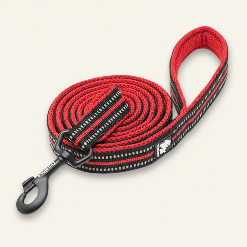 Laisse pour chien réfléchissante couleur rouge