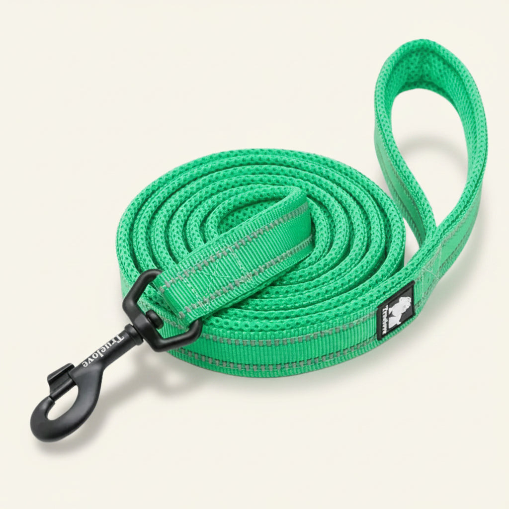 Laisse pour chien réfléchissante couleur verte