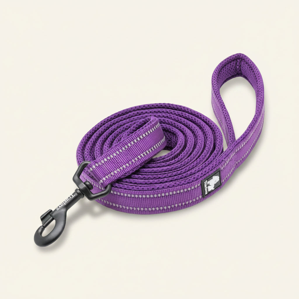 Laisse pour chien réfléchissante couleur violette⁠