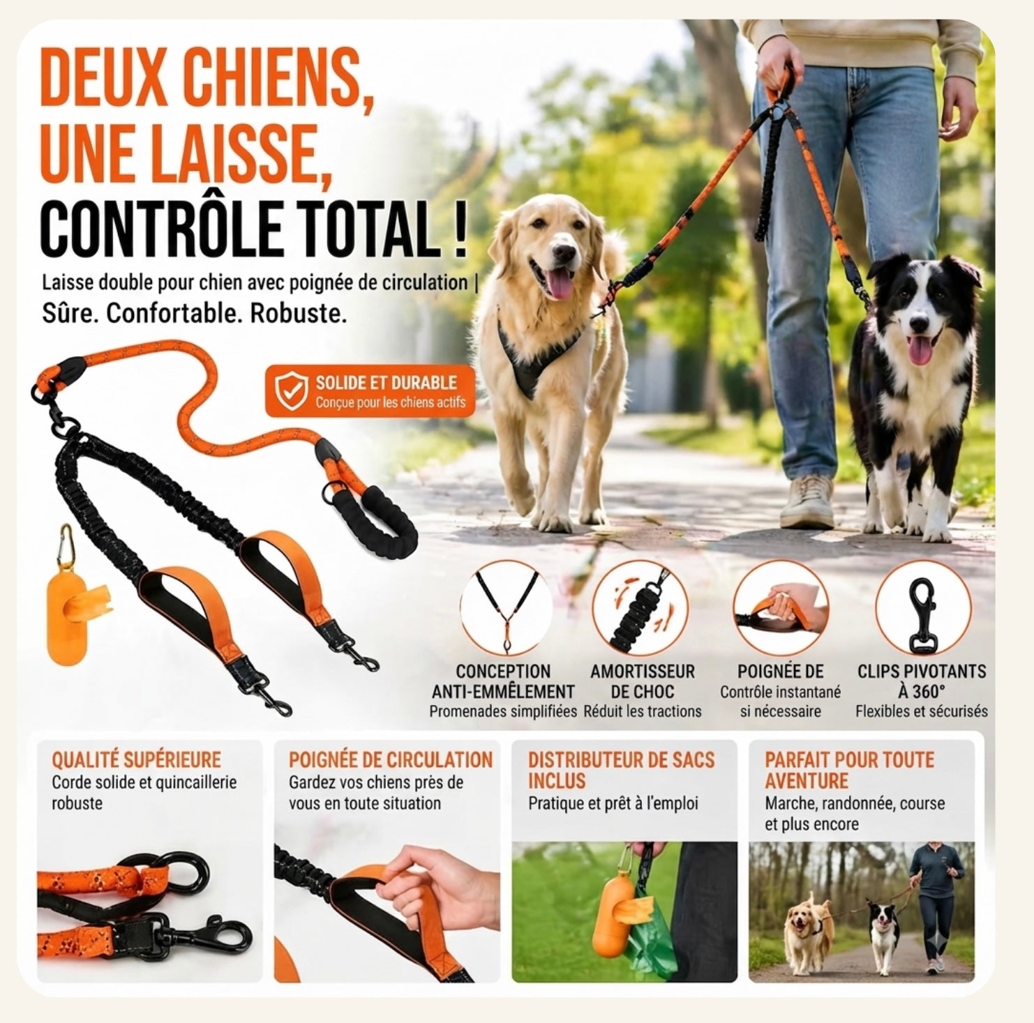 Illustration marketing montrant deux chiens en promenade avec la laisse double Dog Rider pour un contrôle total