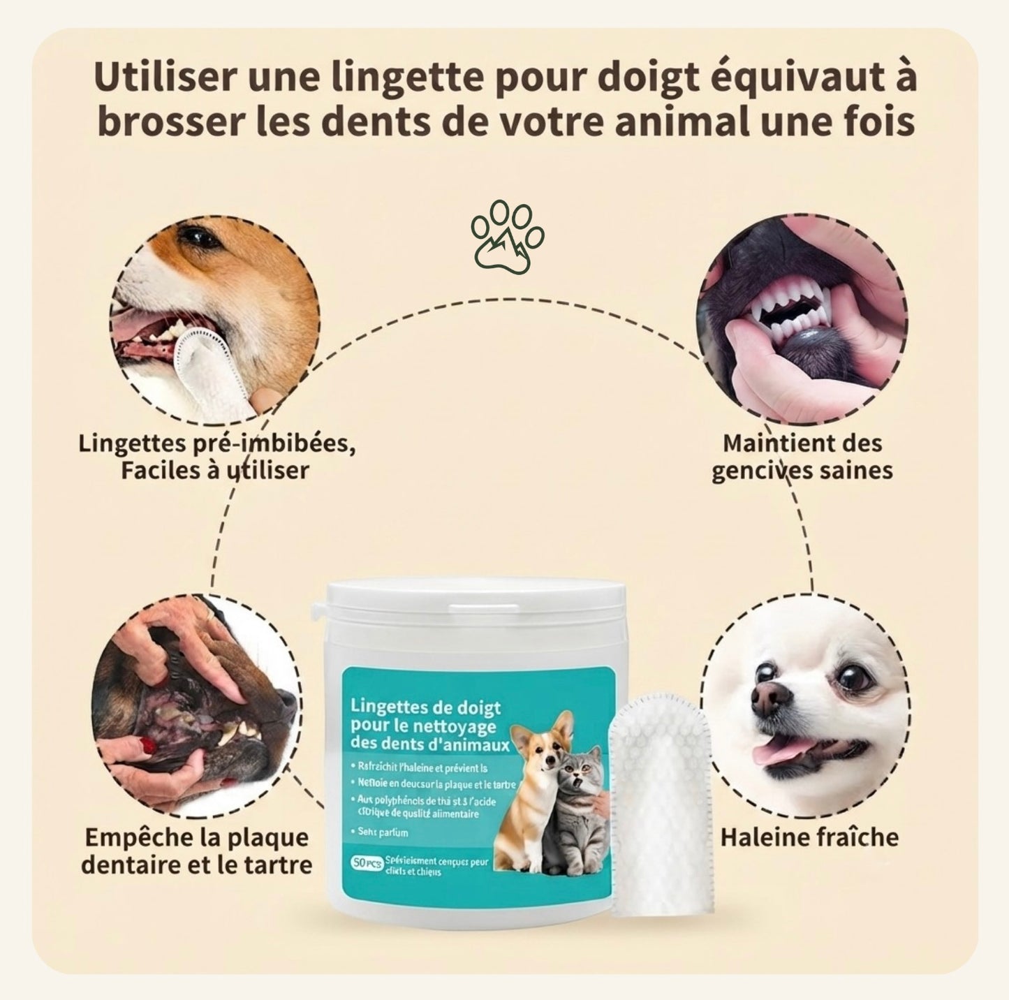 Infographie montrant qu’une lingette dentaire équivaut à un brossage de dents pour chien