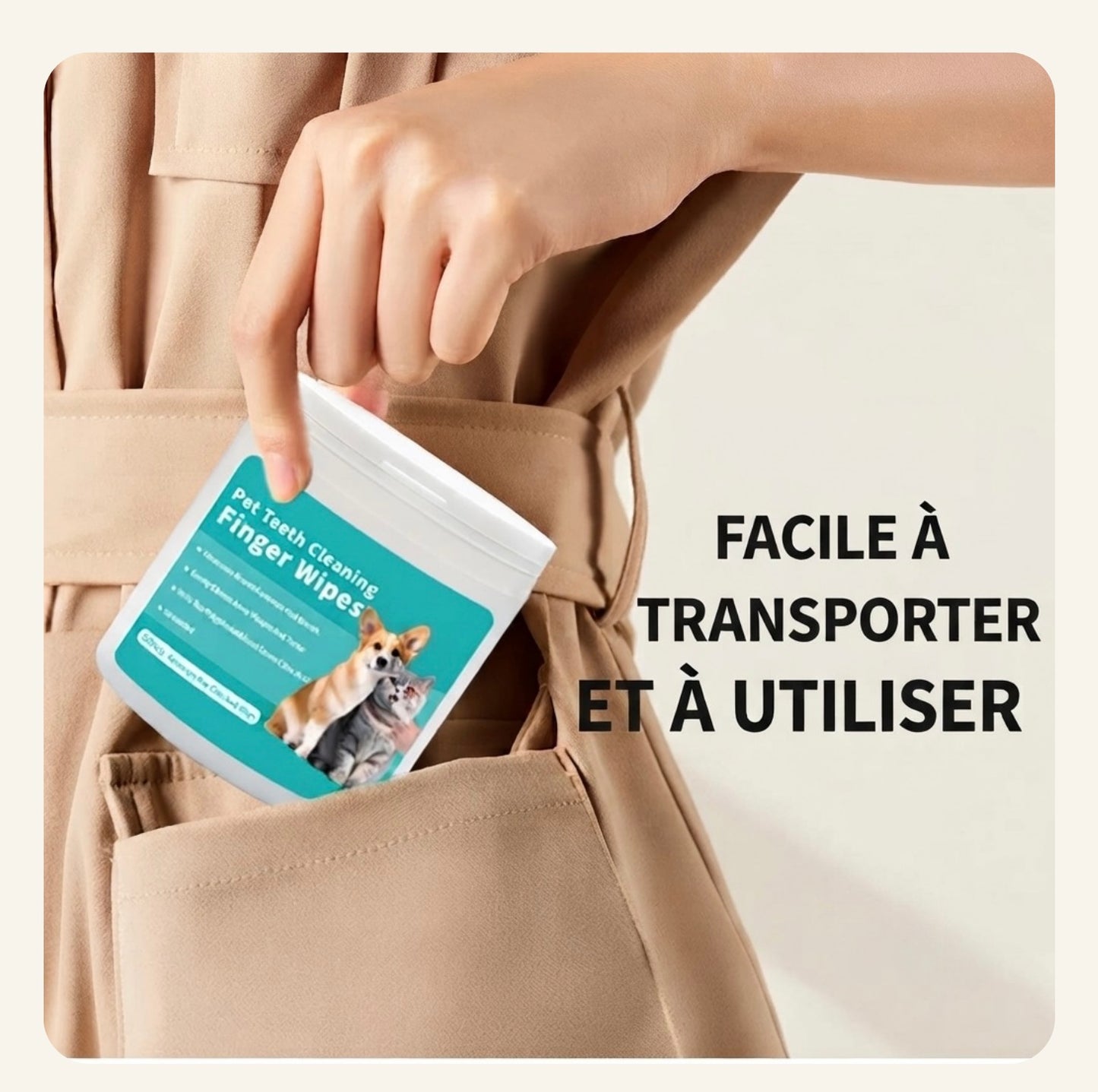 Format pratique et transportable des lingettes dentaires pour chien Dog
Rider
