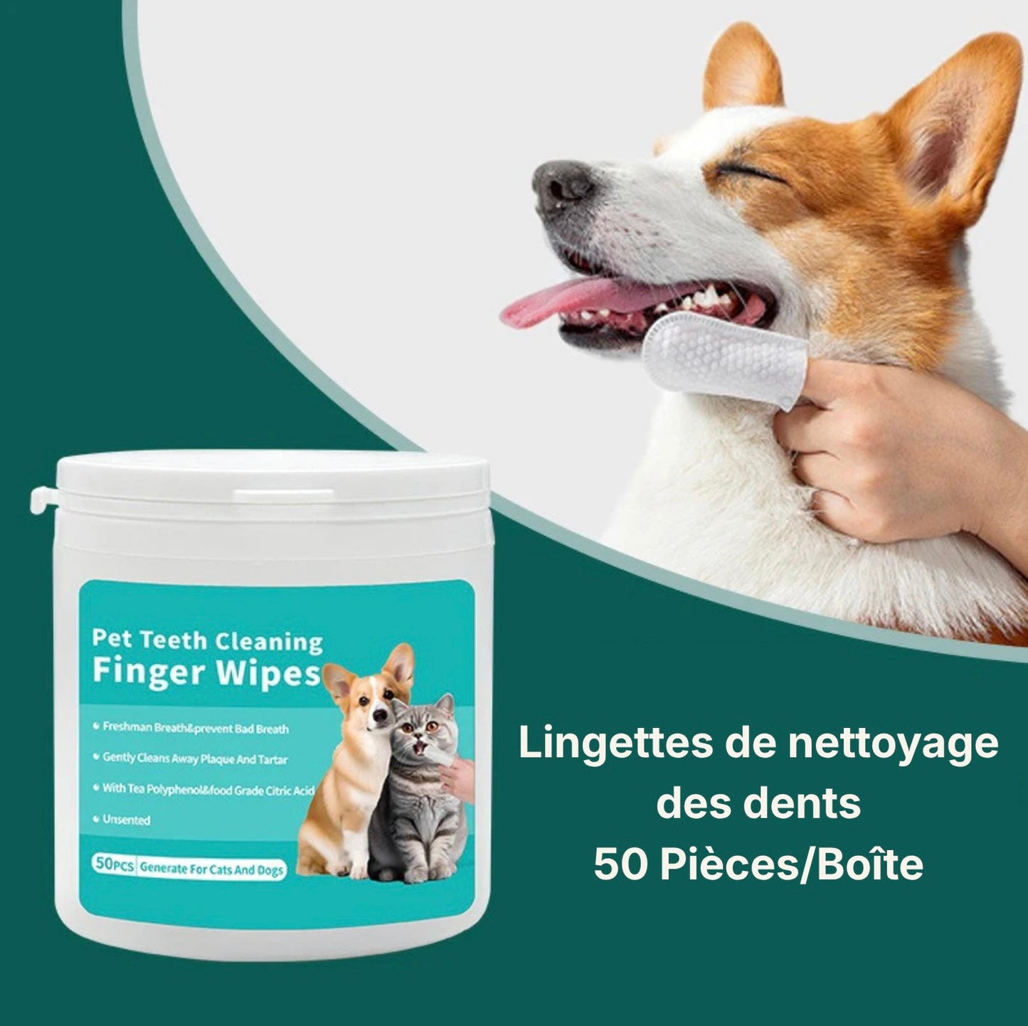 Boîte de lingettes nettoyantes pour dents de chien Dog Rider, 50 pièces