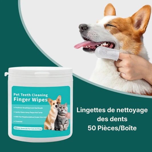Boîte de lingettes nettoyantes pour dents de chien Dog Rider, 50 pièces