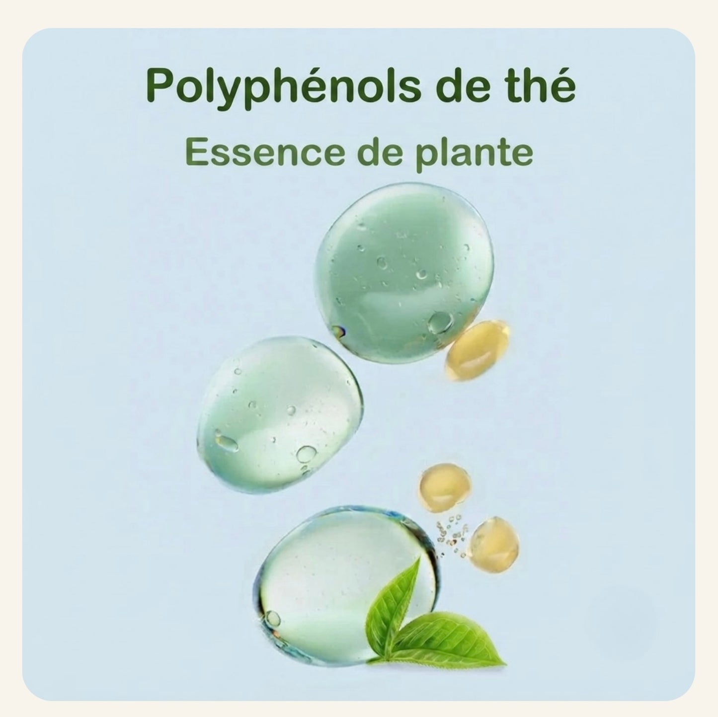 Formule aux polyphénols de thé et essence végétale des lingettes dentaires pour chien Dog Rider