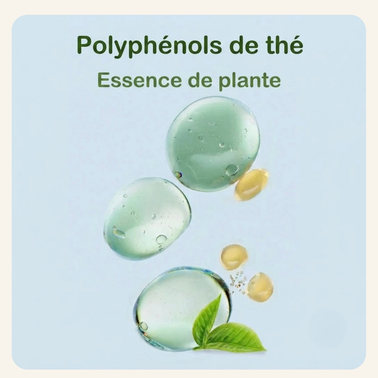 Formule aux polyphénols de thé et essence végétale des lingettes dentaires pour chien Dog Rider