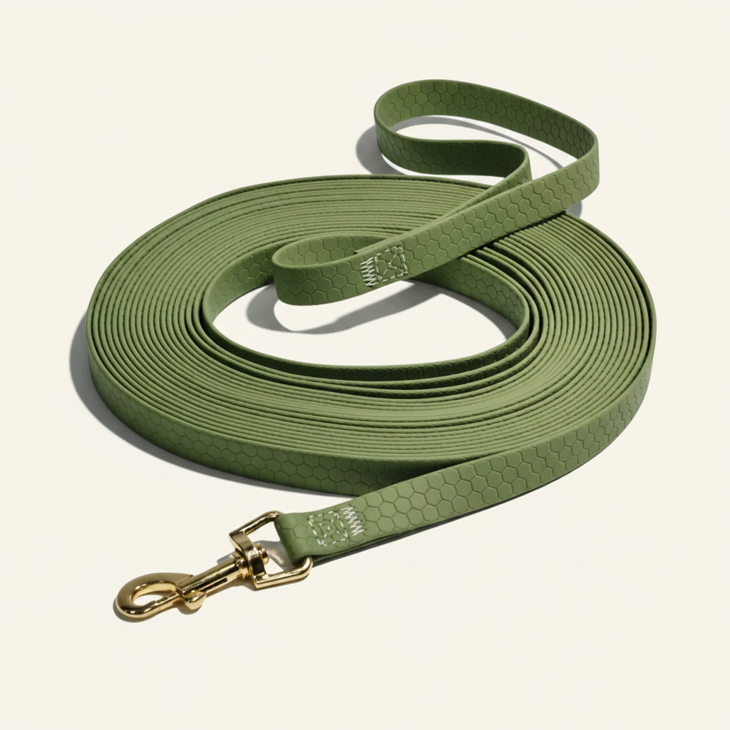 Longe d'entraînement en PVC vert imperméable avec mousqueton métallique pour chien, présentée enroulée