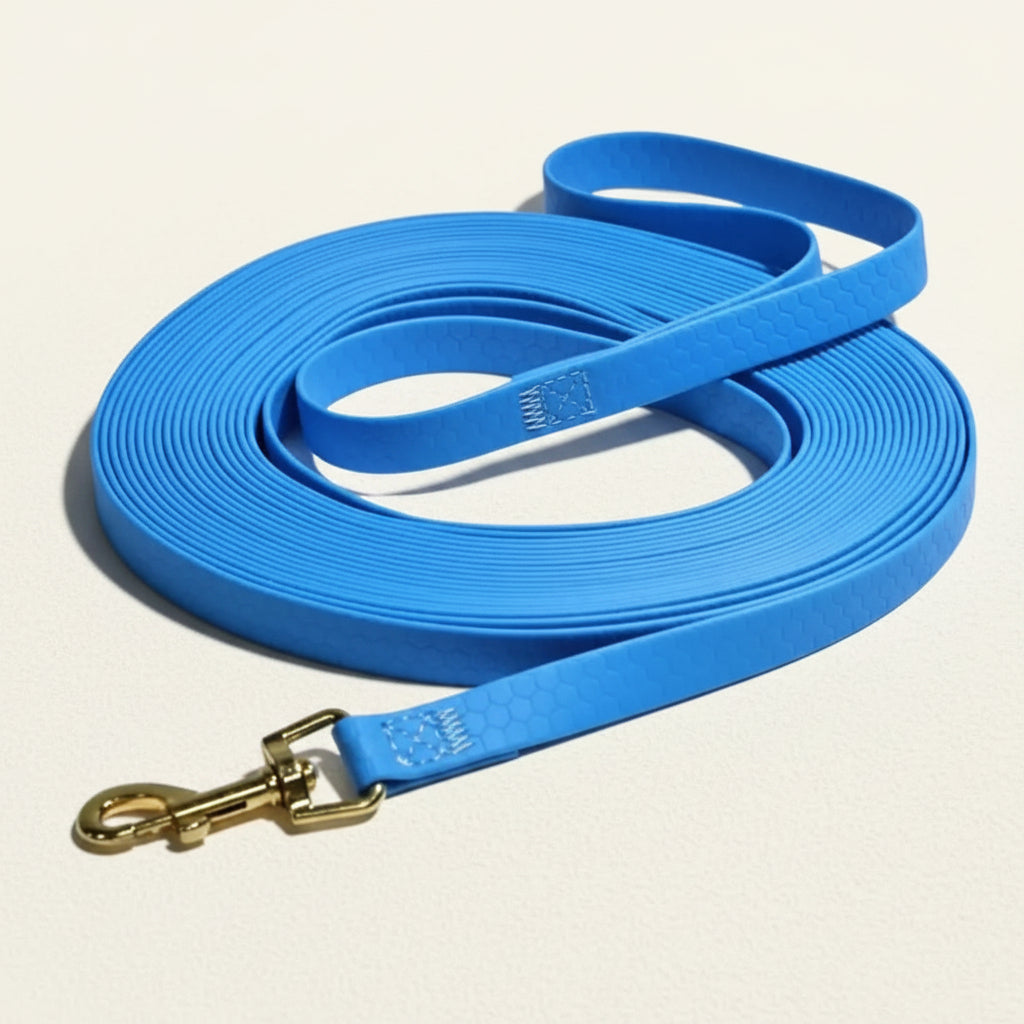 Longe d'entraînement pour chien en PVC de couleur bleue avec mousqueton métallique robuste