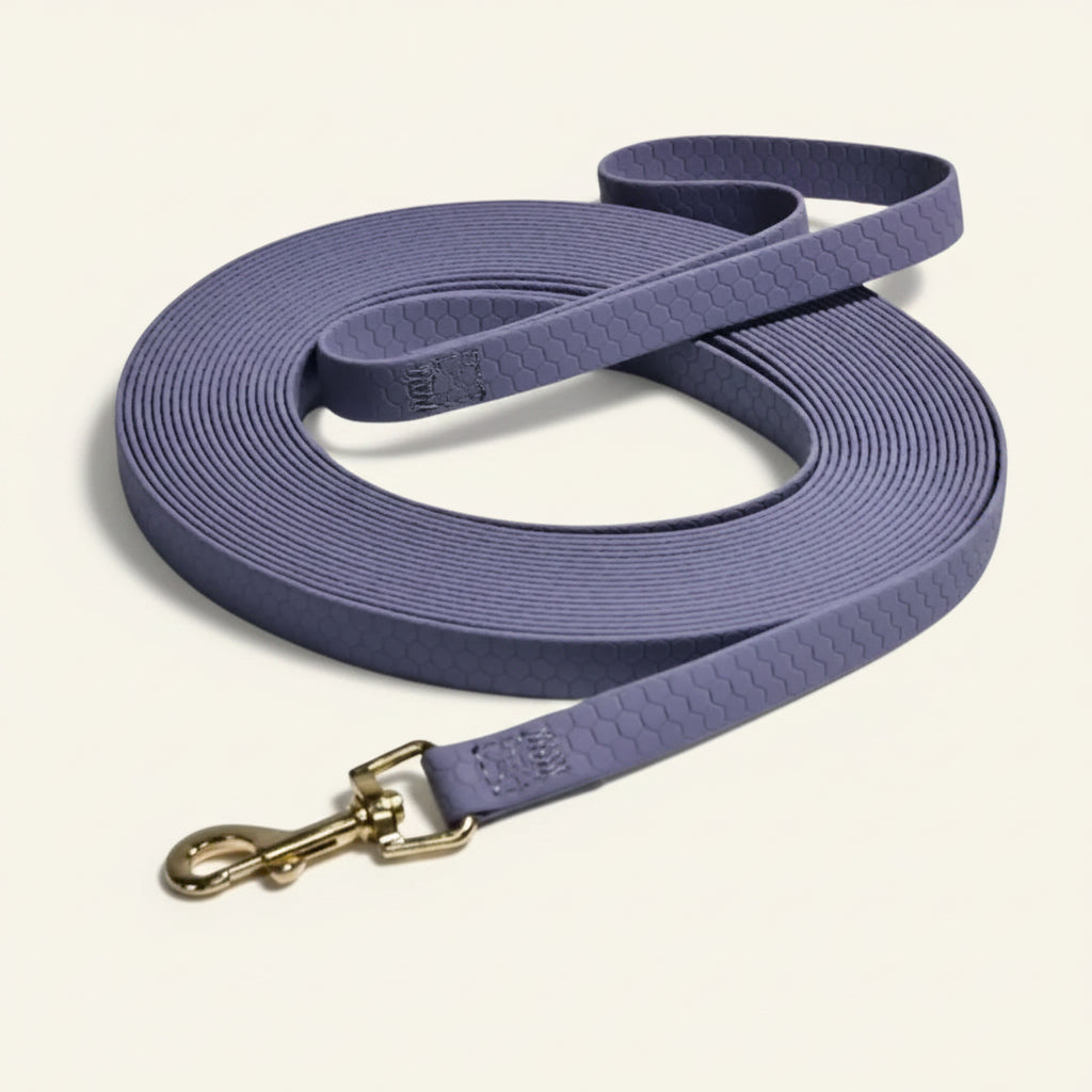 Longe d'entraînement pour chien en PVC de couleur grise avec mousqueton métallique robuste