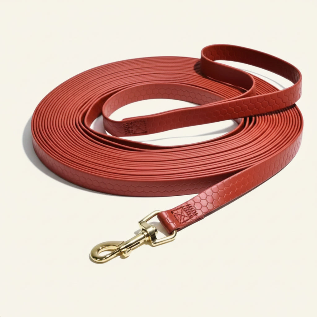 Longe d'entraînement pour chien en PVC de couleur orange vif avec mousqueton anti-corrosion