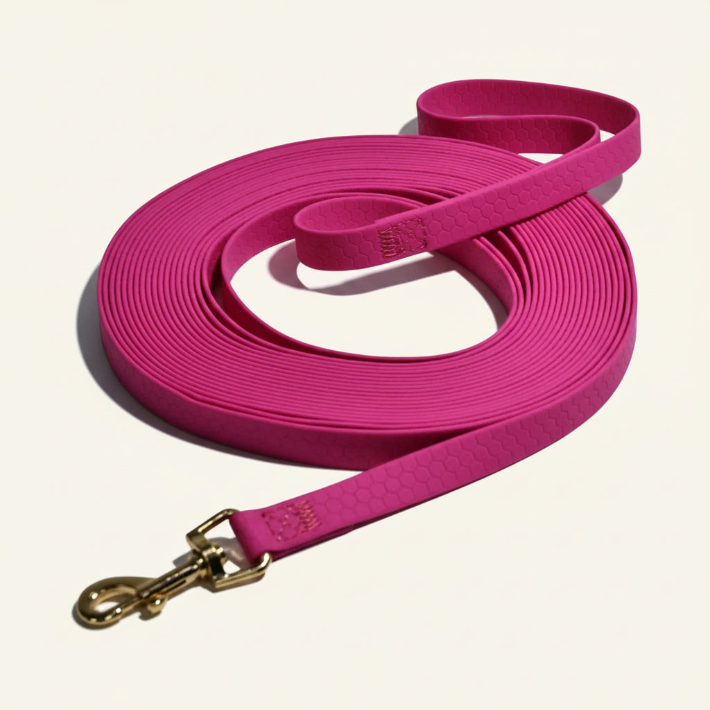 Longe d'entraînement pour chien en PVC de couleur rose fuchsia avec mousqueton résistant