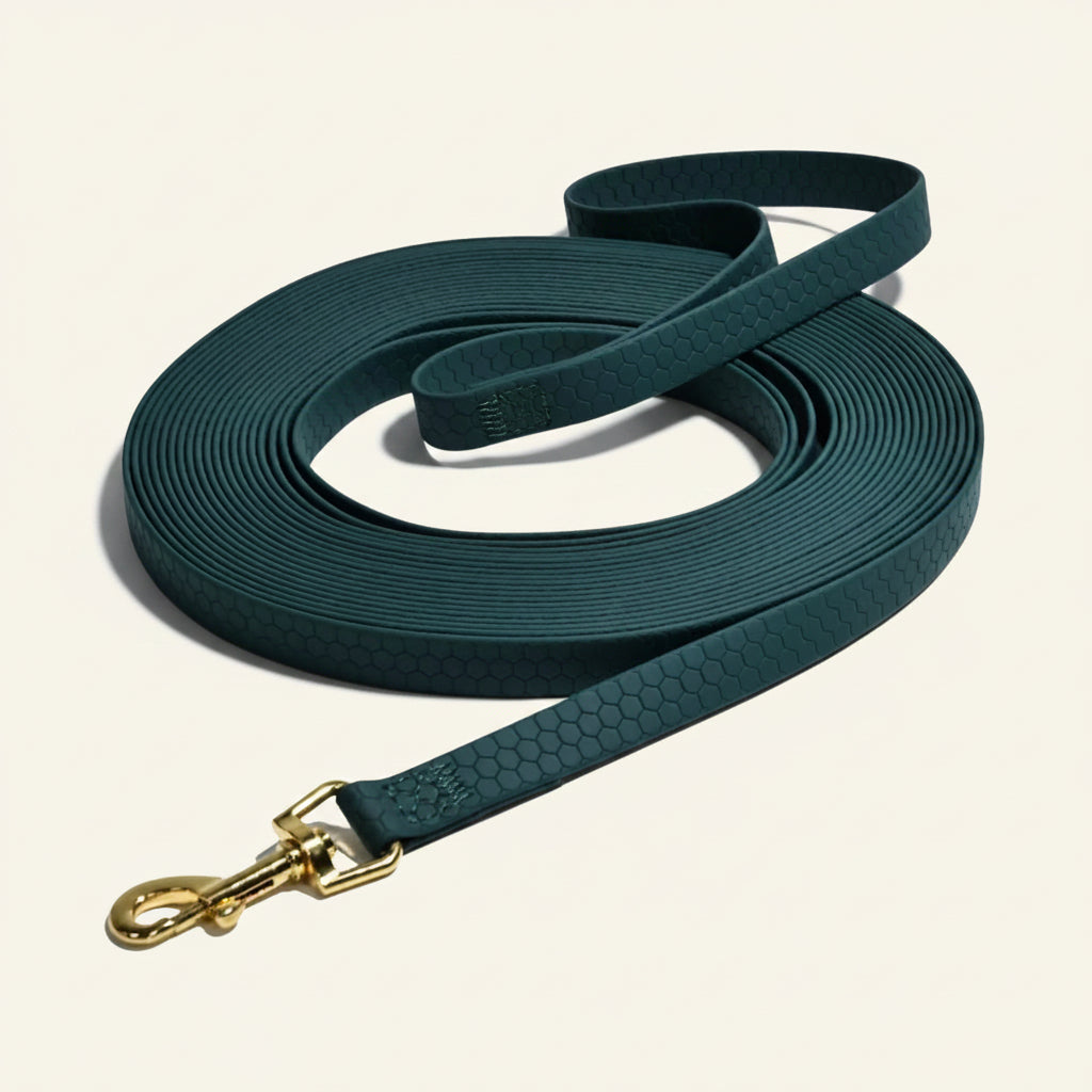 Longe d'entraînement pour chien en PVC de couleur vert foncée avec mousqueton