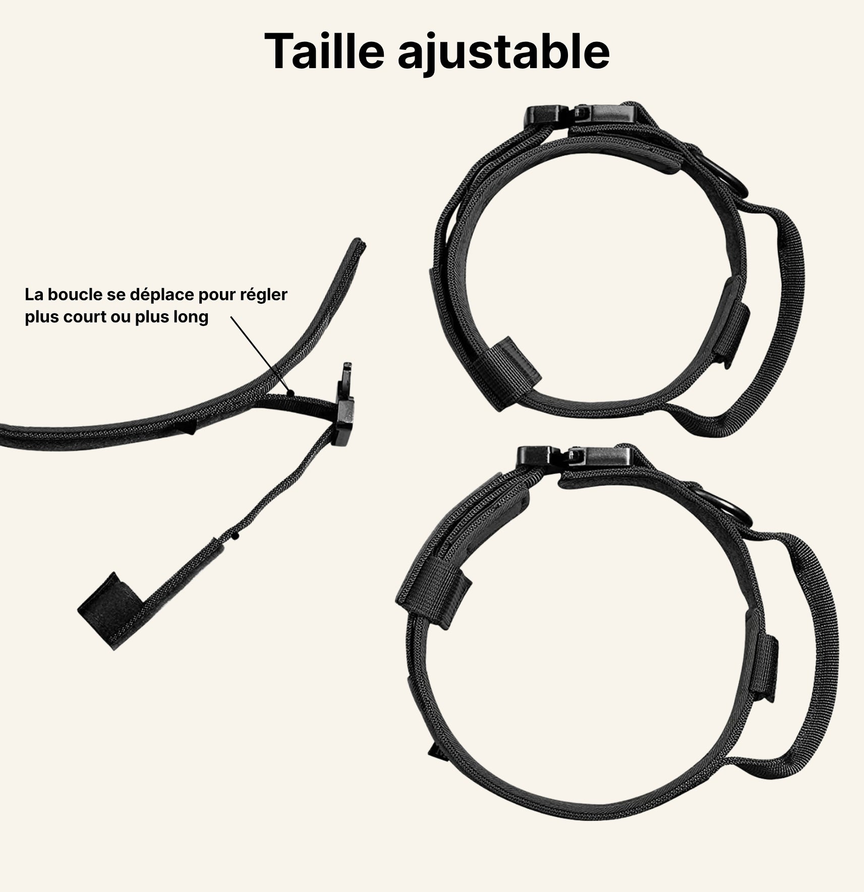 Schéma des dimensions et réglages du collier tactique Dog Rider.