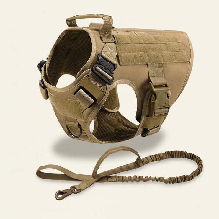 Ensemble harnais et laisse tactique Dog Rider coloris beige.