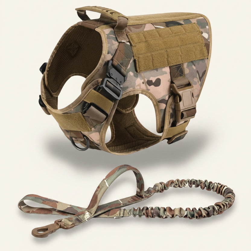 Ensemble harnais et laisse tactique Dog Rider motif camouflage.
