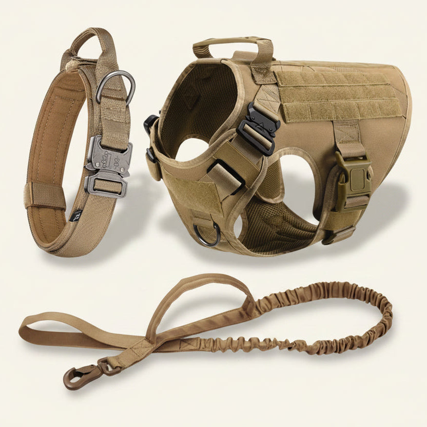 Ensemble harnais, laisse et collier tactique Dog Rider coloris beige.