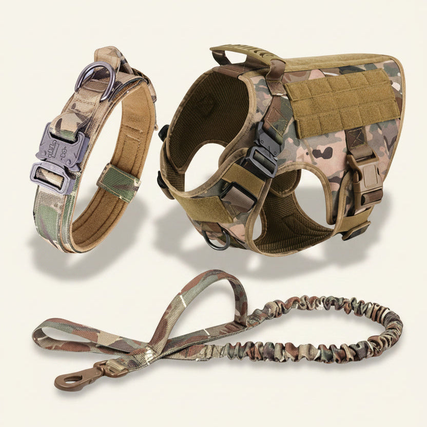 Ensemble harnais, laisse et collier tactique Dog Rider motif camouflage.
