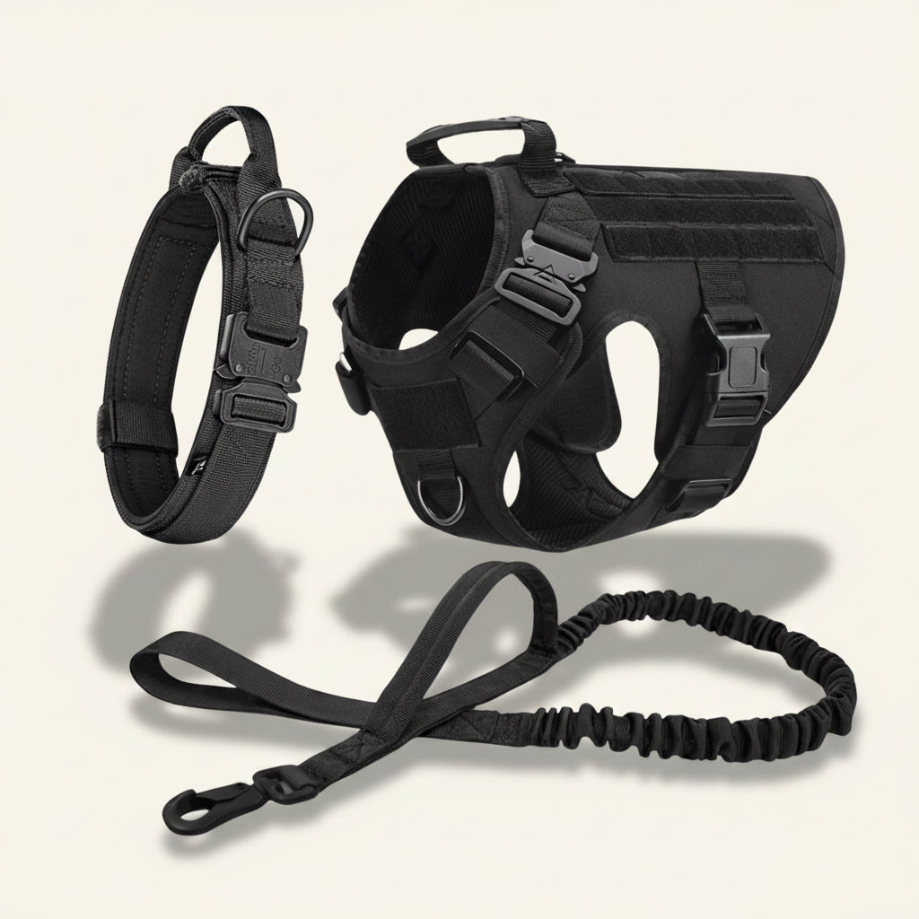 Ensemble harnais, laisse et collier tactique Dog Rider coloris noir.