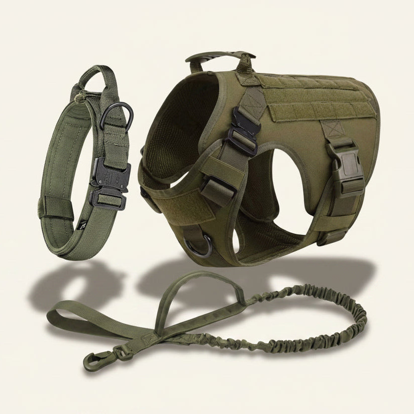 Ensemble harnais, laisse et collier tactique Dog Rider coloris vert.