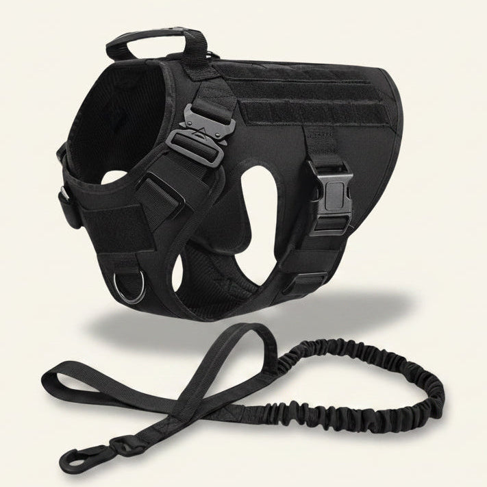 Ensemble harnais et laisse tactique Dog Rider noir.