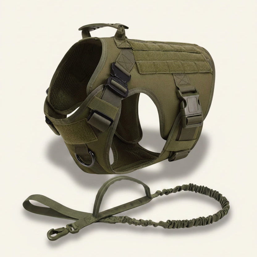 Ensemble harnais et laisse tactique Dog Rider coloris vert.